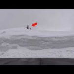 大雪すぎる‥！柴犬と雪回廊に行ったら迫力が規格外すぎた。。(YouTube)