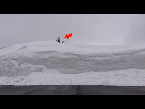 大雪すぎる‥！柴犬と雪回廊に行ったら迫力が規格外すぎた。。(YouTube)