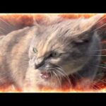 いじめられっ子が怒ったらこんなに怖かった(YouTube)