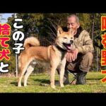 【噛む野犬】もしかして？？この子は野犬でも野良犬でもなくて捨て犬かも？(YouTube)