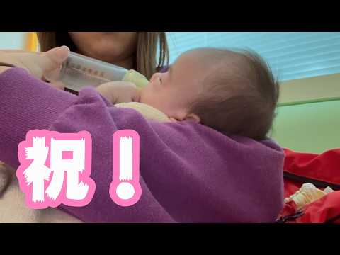 祝！ さぁ猫娘ママはこれからが大変ですね    2026 03 10 2(YouTube)