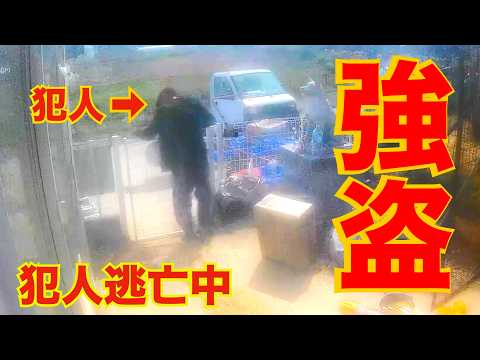 【強盗事件】犯人逃走！防犯カメラ公開ライブ19時配信(YouTube)