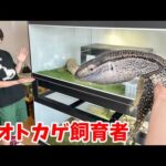 【衝撃】タワマンでアフリカンロックモニター3匹を飼う家に行ったらヤバすぎた…【お宅訪問】(YouTube)