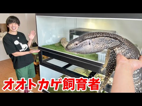 【衝撃】タワマンでアフリカンロックモニター3匹を飼う家に行ったらヤバすぎた…【お宅訪問】(YouTube)
