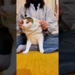 今日のエースお着替え👕 #寒の戻り(YouTube)