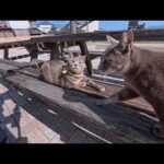 【今週の感動猫動画 2026/3/3w】今週撮った未公開猫動画まとめて公開-unreleased video of this week(YouTube)