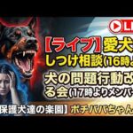 【ライブ】犬のしつけ相談　一般視聴者様16時よりメンバー様17時より(YouTube)