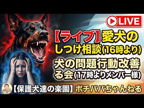 【ライブ】犬のしつけ相談　一般視聴者様16時よりメンバー様17時より(YouTube)