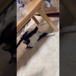 どうなってんの？(YouTube)