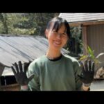 野口卒業ライブ(YouTube)