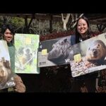 どうぶつエポスカードイベント(YouTube)