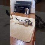 勝てるはずやったのに(YouTube)