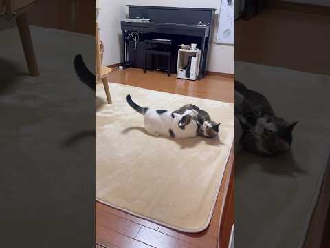 勝てるはずやったのに(YouTube)