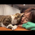 甘えるとベロが出ちゃうポン太(YouTube)