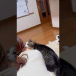 何撮ってんの？(YouTube)