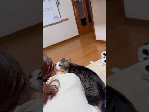 何撮ってんの？(YouTube)