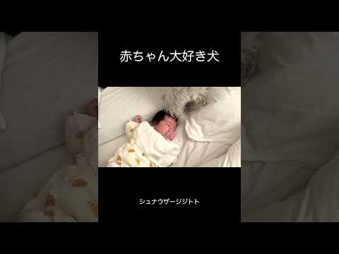 気づくと隣にいます(YouTube)