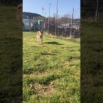 松山くん？？？(YouTube)