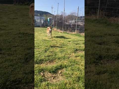 松山くん？？？(YouTube)