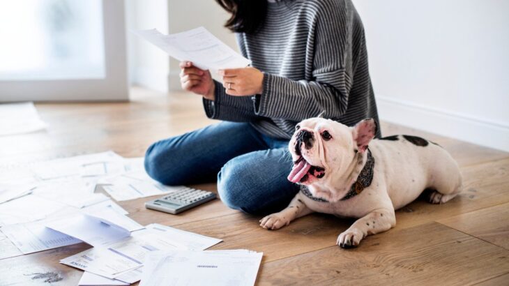 犬を迎える前に『知っておくべきこと』3つ　愛犬を不幸にさせないために必要な心構えとは？(ブログ)