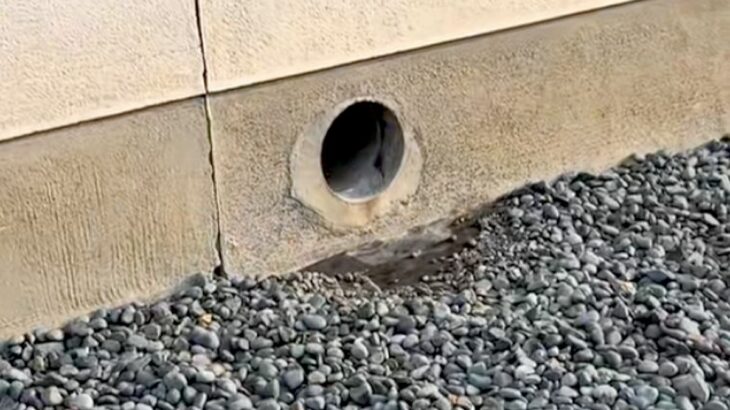 塀に開いている穴→前に立つと…？何度でも通りたくなる『まさかの光景』が60万再生「毎日行きたくなるｗｗ」「わざわざ通るまである」と絶賛(ブログ)