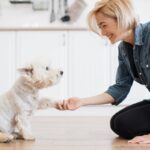 犬の『しつけが下手な人』がやりがちな絶対NG行為５選　信頼関係が崩壊する飼い主の行動まで(ブログ)