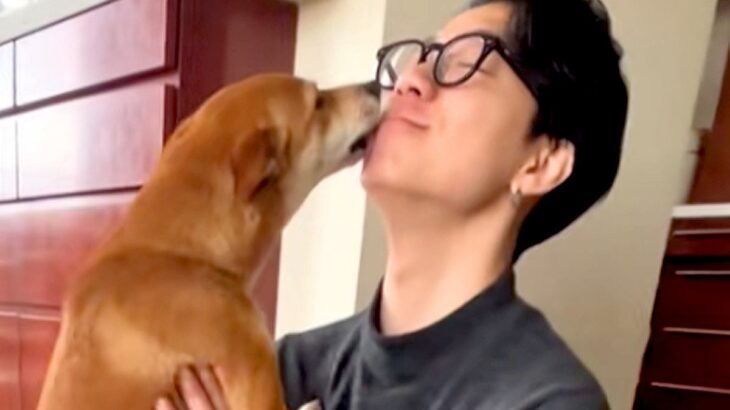 犬に内緒で『息子が１年ぶりに帰省した』結果→顔を合わせた瞬間に…５分以上も続いた『熱烈大歓迎』に感動続々「涙が出そう」「いやもう尊い…」(ブログ)