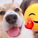 犬と撮影した『盛れた写真』→実は何度か撮っていて…あまりに愛おしい『盛れなかったパターン』に1万いいね「どこ見てんだろｗ」「かわいい」(ブログ)