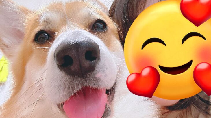犬と撮影した『盛れた写真』→実は何度か撮っていて…あまりに愛おしい『盛れなかったパターン』に1万いいね「どこ見てんだろｗ」「かわいい」(ブログ)