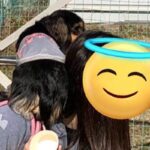 ドッグランに『他の犬がいる時』は避難してしまう犬→『誰もいない時』は…あからさま過ぎる光景に6万いいね「擬態ｗｗ」「可愛すぎる」と反響(ブログ)