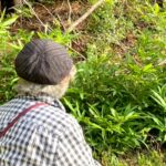 60日間、行方不明の犬→おばあちゃんが山に声をかけ続けた結果…まさかの『奇跡的な瞬間』が92万再生「泣いてしまった…」「よく頑張った」(ブログ)