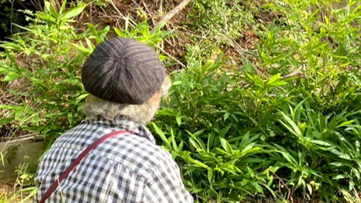 60日間、行方不明の犬→おばあちゃんが山に声をかけ続けた結果…まさかの『奇跡的な瞬間』が92万再生「泣いてしまった…」「よく頑張った」(ブログ)