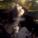車で『お仕事帰りのママ』をお迎えにきた犬→見つけた瞬間、愛が爆発して…あまりにも尊い『おかえりの歓迎』に反響「疲れ吹っ飛ぶ」「可愛すぎ」(ブログ)
