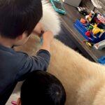 お祭りで『お医者さんセット』を手に入れた男の子たち→帰宅後、秋田犬に…微笑ましい光景に1万いいね「迷惑そうで可愛いｗ」「未来の獣医さん」(ブログ)