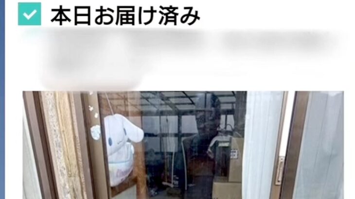 Amazonの置き配で『お届け完了通知』が来たので確認→もはや商品がメインではない『まさかの光景』に反響「守ってるｗ」「写ってなくて草」(ブログ)