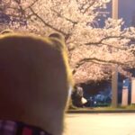 犬がいつもトイレをする場所に行くと『お花見』している人がいて…ジワジワくる『文句を言う光景』が66万再生「どけ言うてて草」「笑ったｗ」(ブログ)