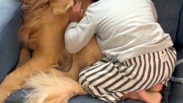 朝、男の子が『保育園に行きたくない』と駄々をこねた結果→大型犬に助けを求めて…愛に溢れた光景に反響「行きたくない日もあるよね」「困惑ｗ」(ブログ)