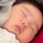 赤ちゃんが大好きな犬→ピッタリとくっつきながら…あまりにも尊い『添い寝の仕方』に悶絶の声「天使と天使」「どんな夢を見てるのかな」と絶賛(ブログ)