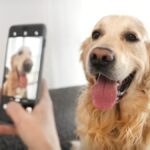 残しておくべき『愛犬の写真』7つ　大切な瞬間を記録しておくために今からできることまで(ブログ)