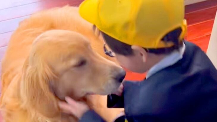 小学校2日目が終わり、帰宅した男の子→真っ先に『大型犬』の元へ行き…信頼と愛を感じる『尊い光景』が35万再生「可愛くて泣ける」「素敵」(ブログ)