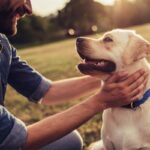 犬が『味方』だと思っている人にみせる5つのサイン　頼りにされる飼い主の共通点まで(ブログ)