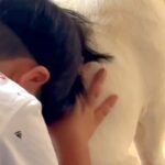 叱られてしまった男の子→拗ねながら、犬に近づいて…慰めるように『背中を貸してあげる光景』が尊いと反響「なんて優しい」「お兄ちゃんみたい」(ブログ)