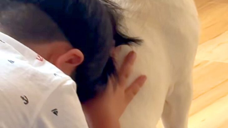 叱られてしまった男の子→拗ねながら、犬に近づいて…慰めるように『背中を貸してあげる光景』が尊いと反響「なんて優しい」「お兄ちゃんみたい」(ブログ)