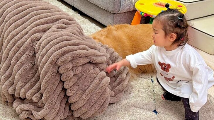 片付けをしない1歳の女の子→『片付けおばけ』が現れ、大型犬を吸い込んでしまい…愛おしい『反応』が14万再生「最高の家族」「影響すごいｗ」(ブログ)