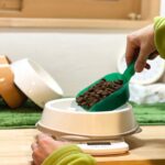 犬が肥満になる『NG習慣』5つ　愛犬を太らせすぎるとどうなるの？改善策まで(ブログ)