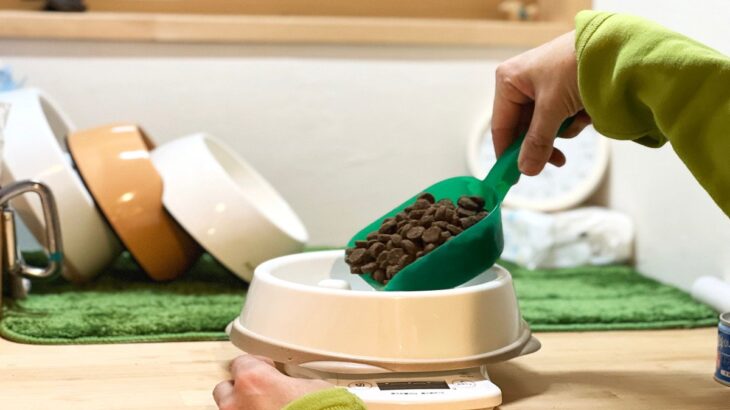 犬が肥満になる『NG習慣』5つ　愛犬を太らせすぎるとどうなるの？改善策まで(ブログ)