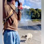 『ごめん、絶対に…』一度捕り逃した野犬→必死に逃げようとして…涙腺崩壊する『逃亡の理由』が100万再生「泣く」「真似できることじゃない」(ブログ)