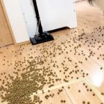 ドッグフードを床にこぼしてしまった結果→深呼吸で落ち着こうとしたら…犬の『正直すぎる表情』に6万いいね「準備してて草」「やる気満々ｗ」(ブログ)