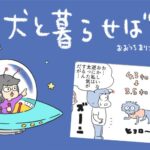 犬と暮らせば【第539話】「反比例」(ブログ)