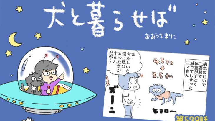 犬と暮らせば【第539話】「反比例」(ブログ)